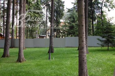 Около 50 взрослых деревьев на участке